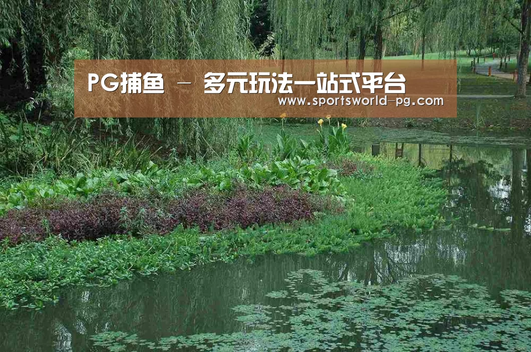 案例展示一(图1)