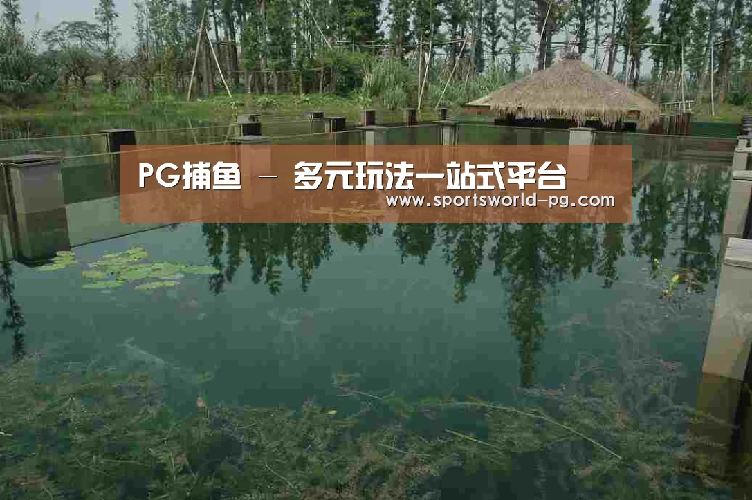 案例展示二(图1)