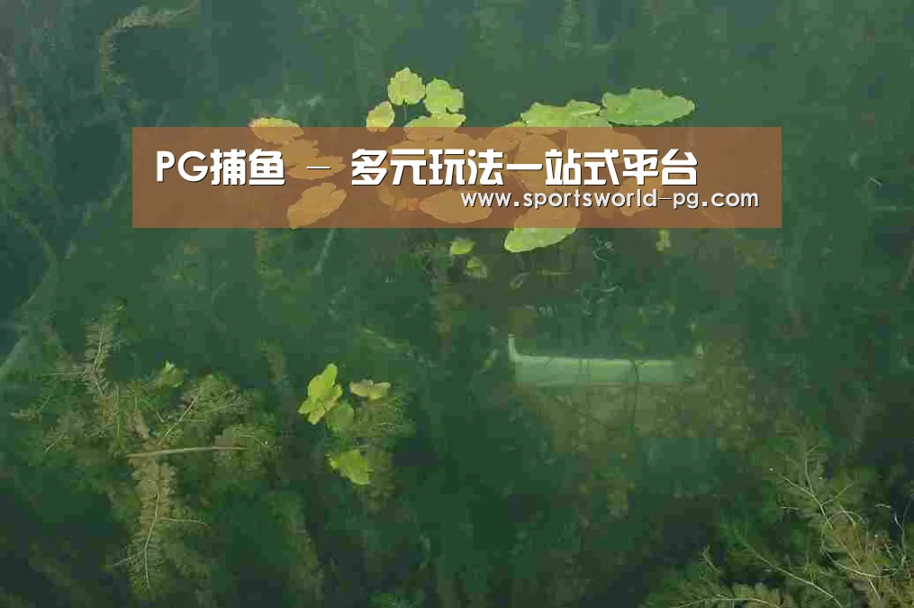案例展示三(图1)