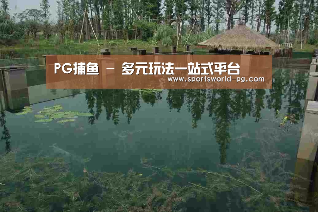 案例展示二