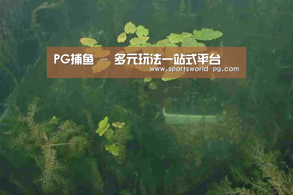 案例展示三