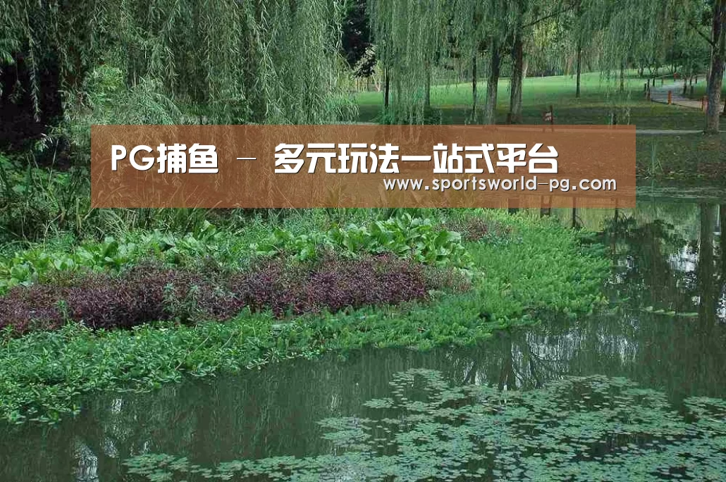案例展示一