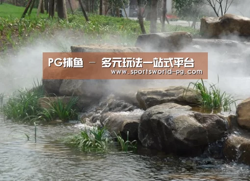 案例展示五