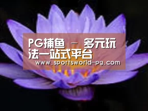 产品名称六