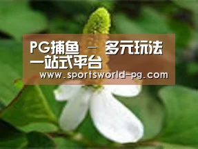 产品名称三