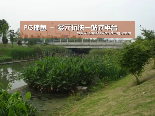 案例展示四