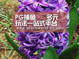 产品名称八